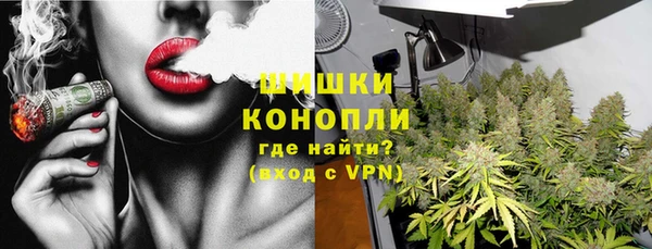 сатива Осинники
